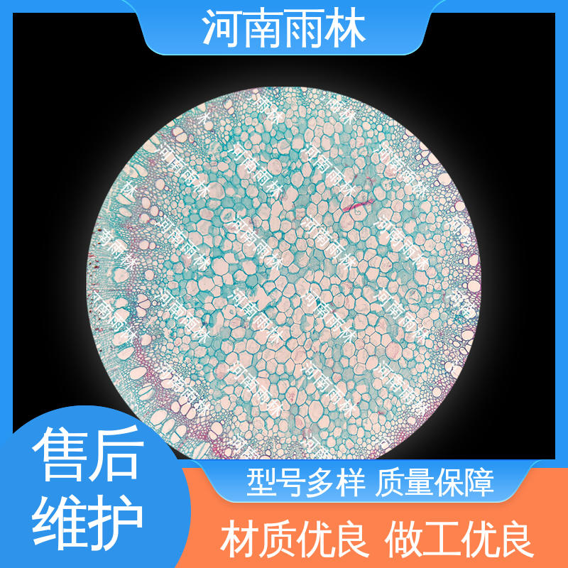 显微标本 可提供材料 品质优良 厂家销售 雨林教育工程