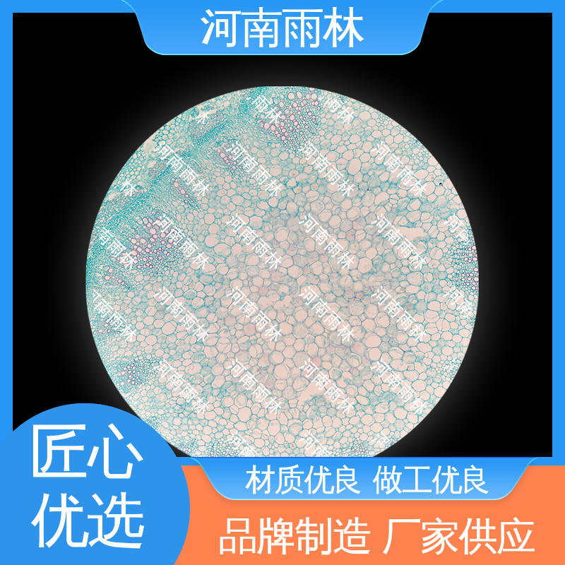 显微切片 一对一质检 专业 可后期加工 雨林教育