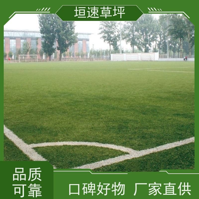 垣速 制作公司 人工假草皮 杭州足球场建筑 塑料草坪厂家施工工艺
