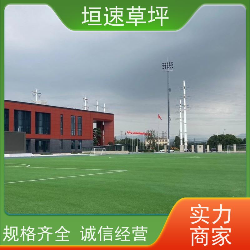 垣速 景观塑料草坪 承包施工 上海足球场承建 学校足球场草皮规范流程
