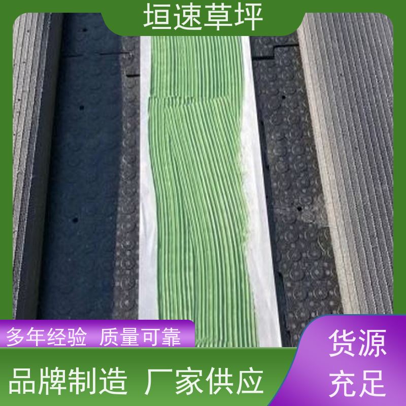 垣速 塑料草坪厂家施工工艺 承包施工 塑料仿真草坪 杭州门球场新建