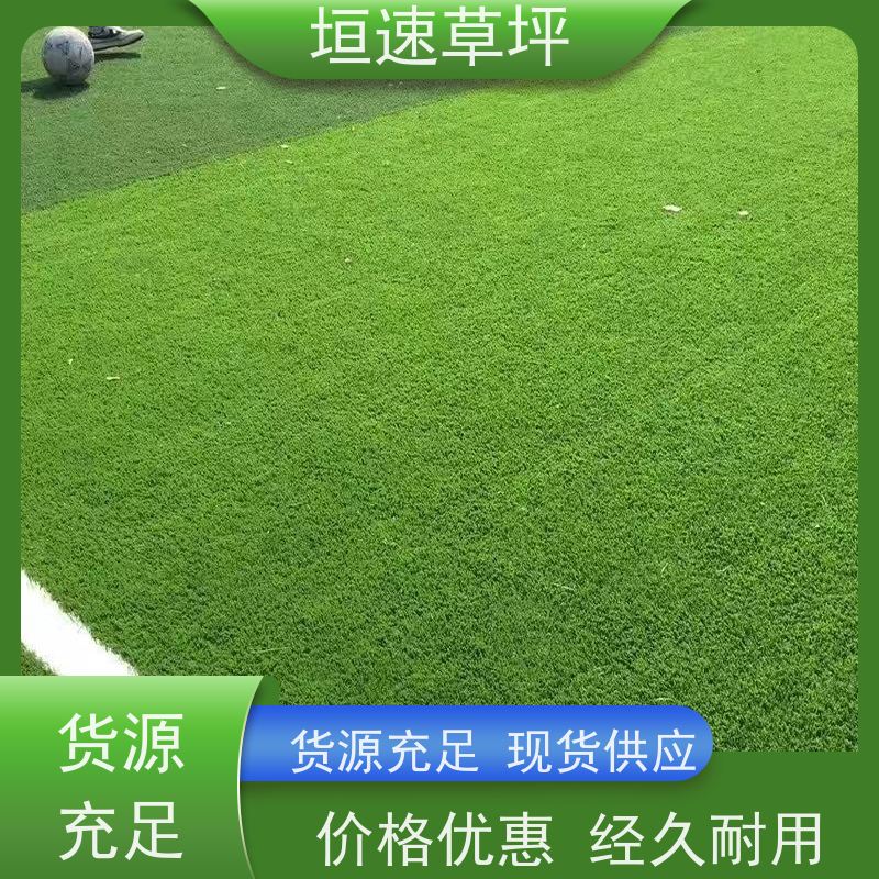 垣速 足球场仿真草坪材料种类 安装铺设 人工假草皮 上海足球场承建