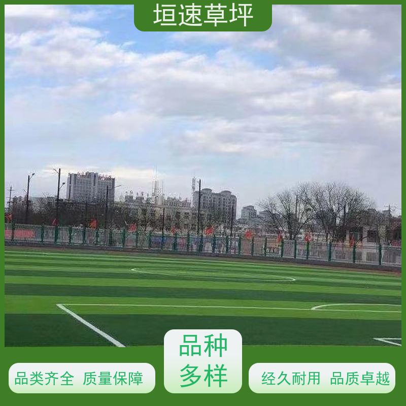 垣速 景观人造草坪 施工维修 苏州门球场修建 橄榄球人造草坪基层要求
