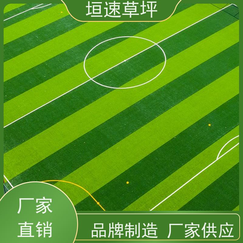 垣速 足球场仿真草坪材料种类 苏州足球场搭建 屋面绿化草坪 翻新改造