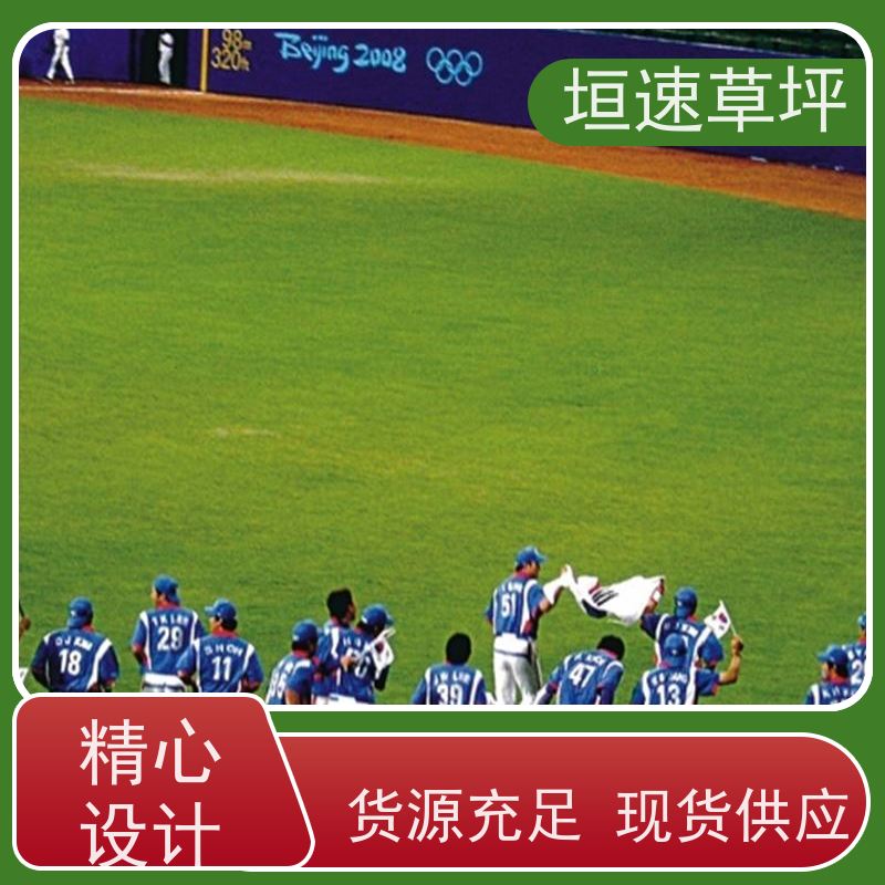 垣速 学校足球场草坪基础要求 景观人造草坪 上海门球场制作 厂家定制