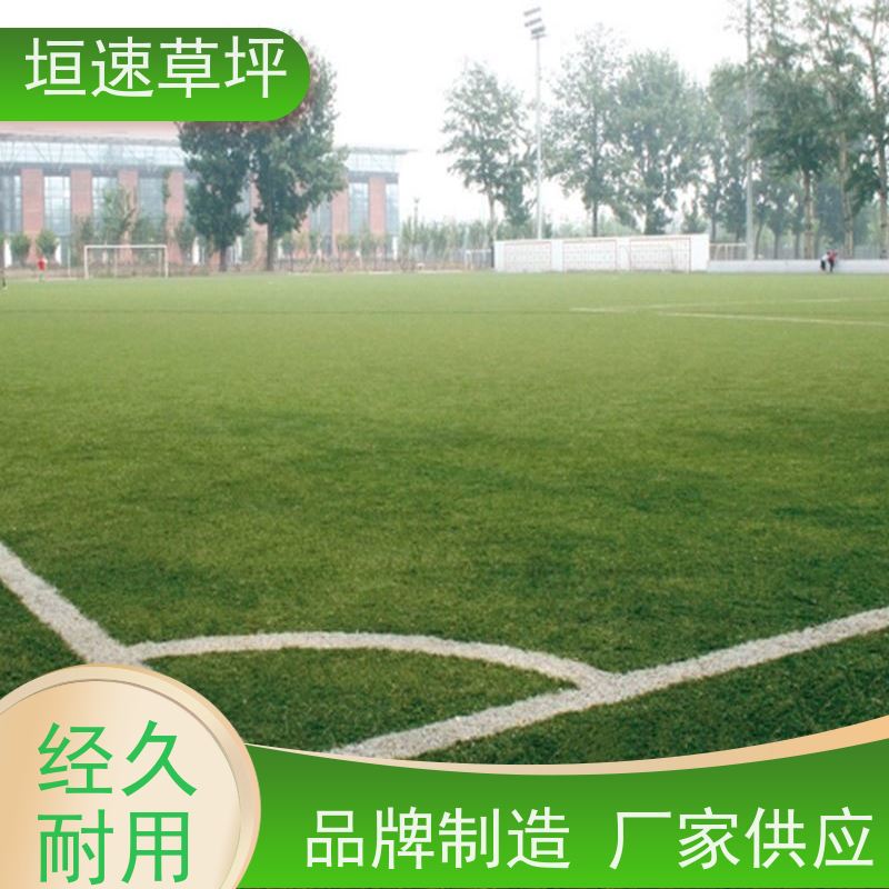 垣速 苏州足球场搭建 仿真草皮草坪 厂家定制 足球场塑胶草坪规划设计