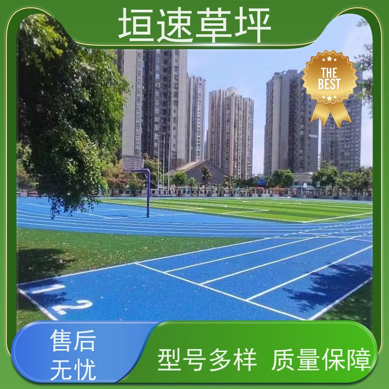 垣速 上海足球场承建 学校足球场草坪基础要求 仿真地毯草坪 修建费用