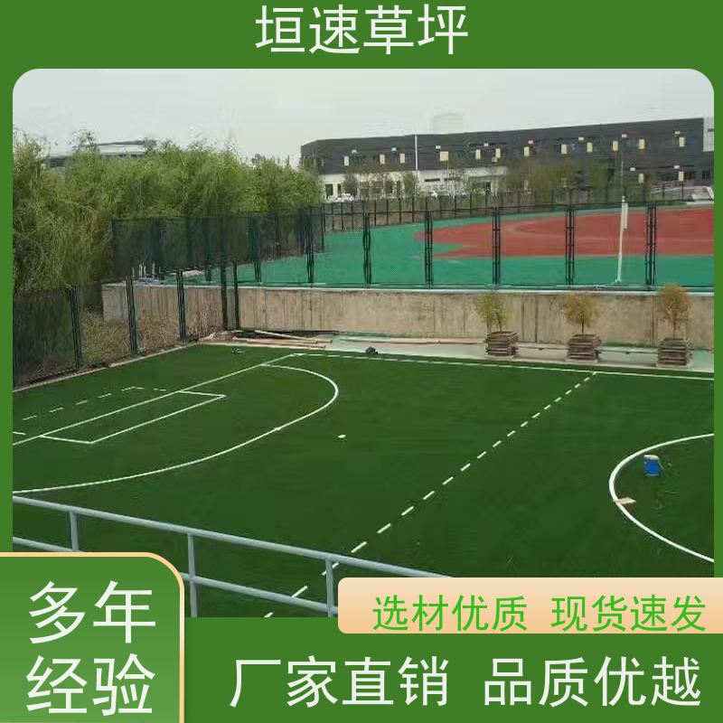垣速 景观塑料草坪造价成本 上海门球场制作 仿真塑料草坪 施工建设