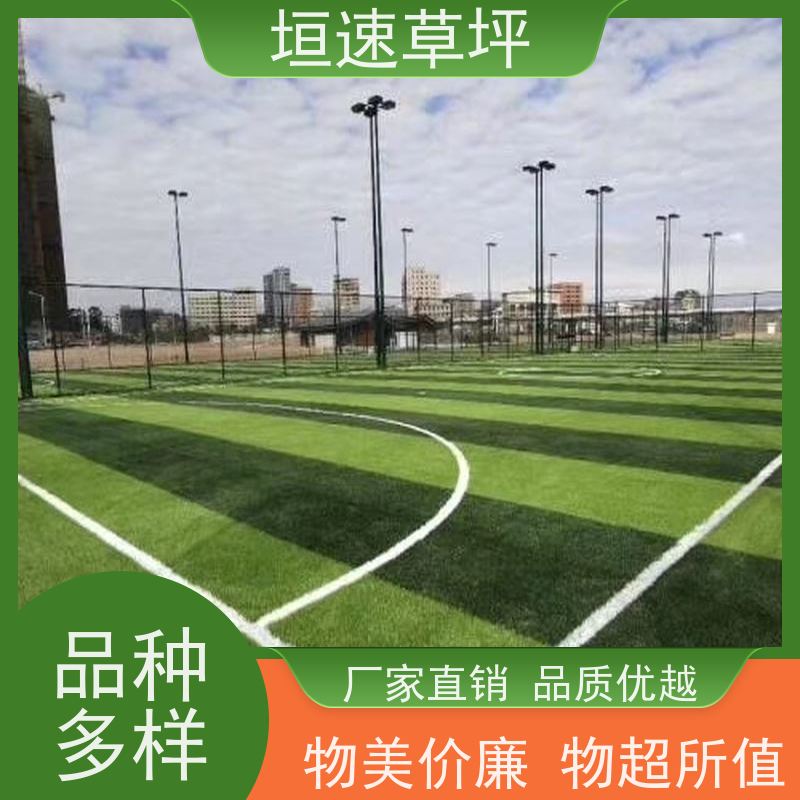 垣速 学校足球场草坪基础要求 施工建设 加密人造草坪 上海门球场制作