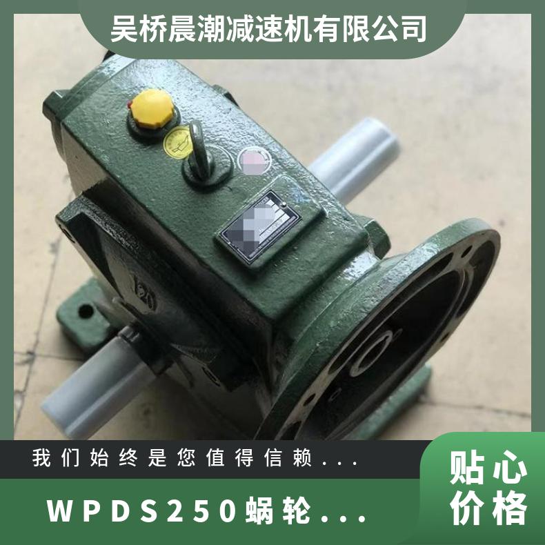 小型蜗轮蜗杆减速器 WPDS250减速机 立式 电机法兰式