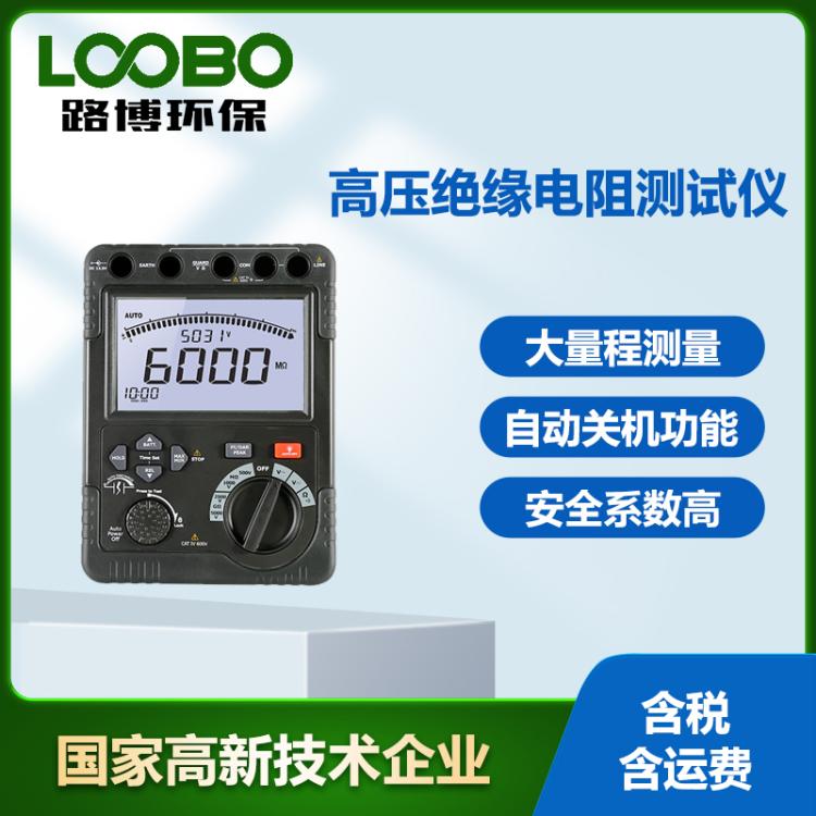 高压绝缘电阻测试仪交直流电压测量DT-6605高精度绝缘表