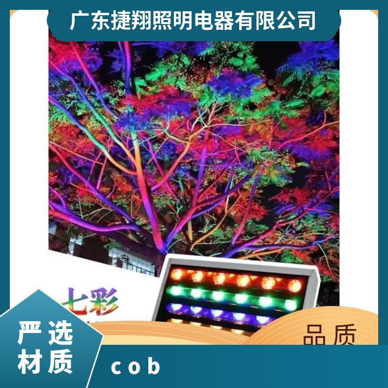 捷翔LED投光灯泛七彩插地灯照树灯射树灯投射灯