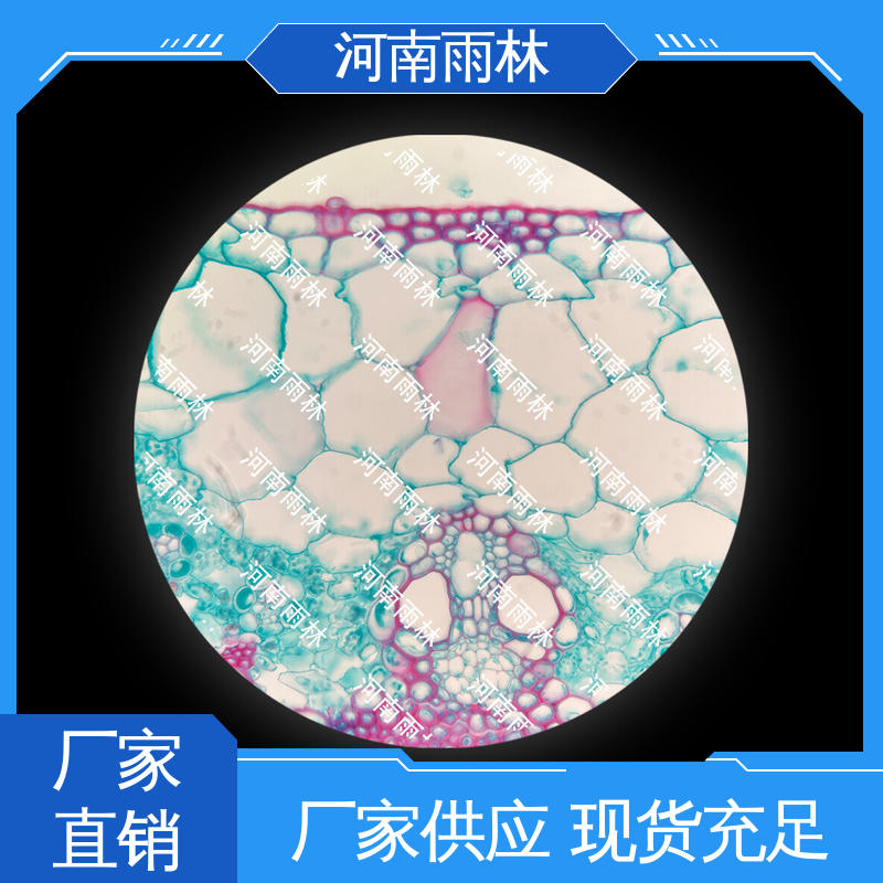 颜色鲜亮 厂家销售 售后无忧 教学切片 雨林教育工程