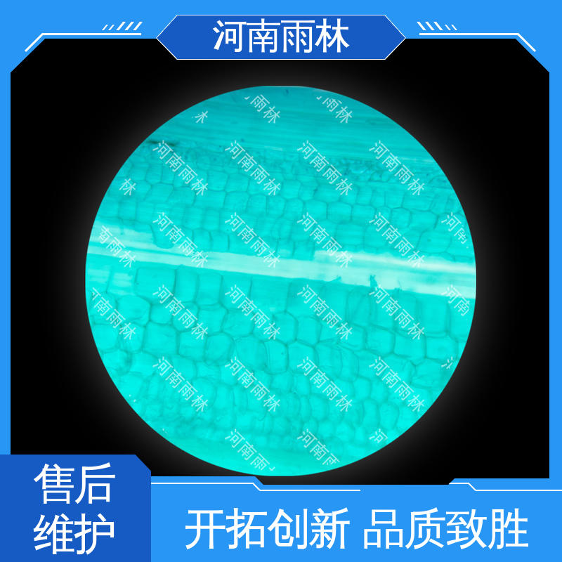 质量优 源头工厂 颜色鲜亮 显微切片 雨林教育工程