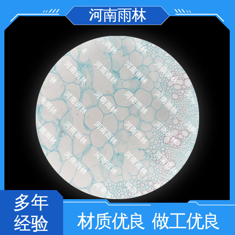 源头工厂 显微切片 质量优 细胞清晰 雨林教育工程
