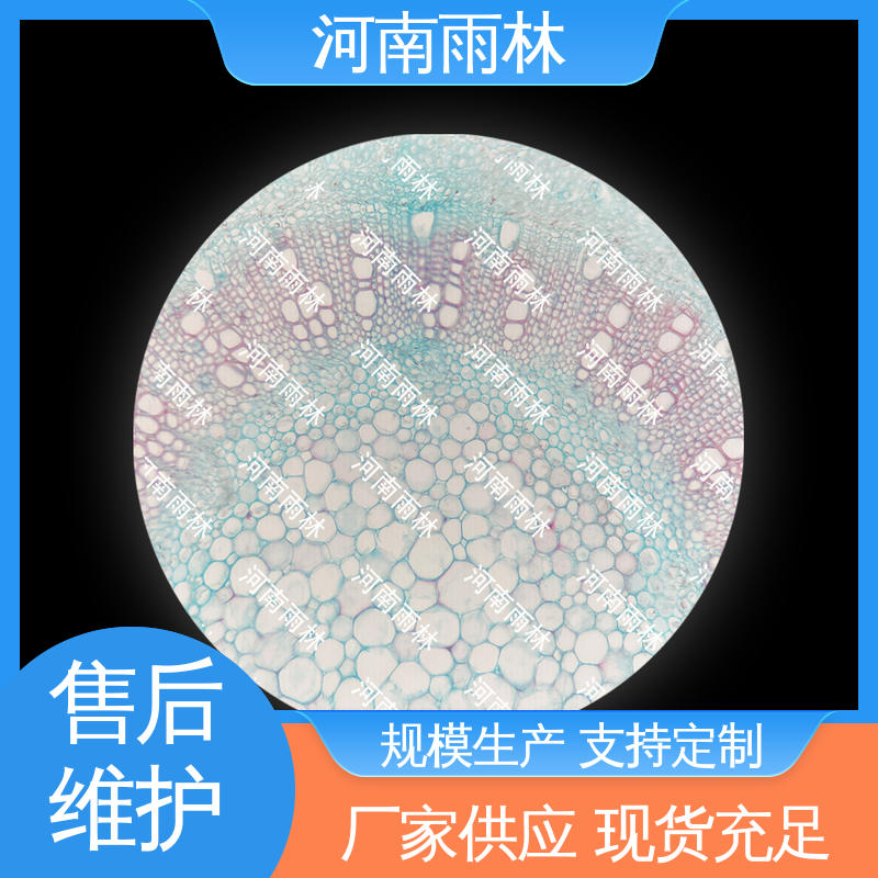 质量保障 源头工厂 显微标本 性价比高 雨林教育
