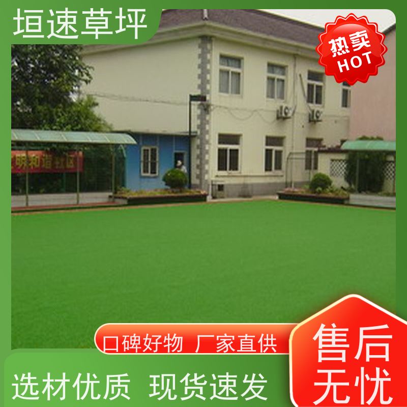 垣速 塑料草坪厂家施工工艺 上海门球场地修建 室外塑料草坪 承包施工