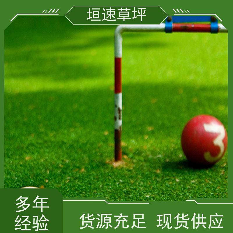 垣速 屋顶人造草坪 足球场塑胶草坪规划设计 承包施工 苏州足球场搭建