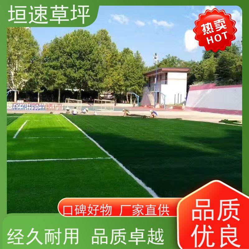 垣速 足球场仿真草坪材料种类 厂家定制 景观塑料草坪 杭州门球场新建