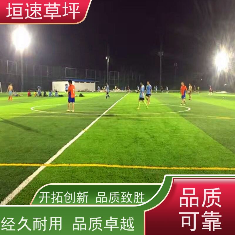 垣速 屋面绿化草坪基础施工 施工维修 屋顶人造草坪 上海门球场地修建