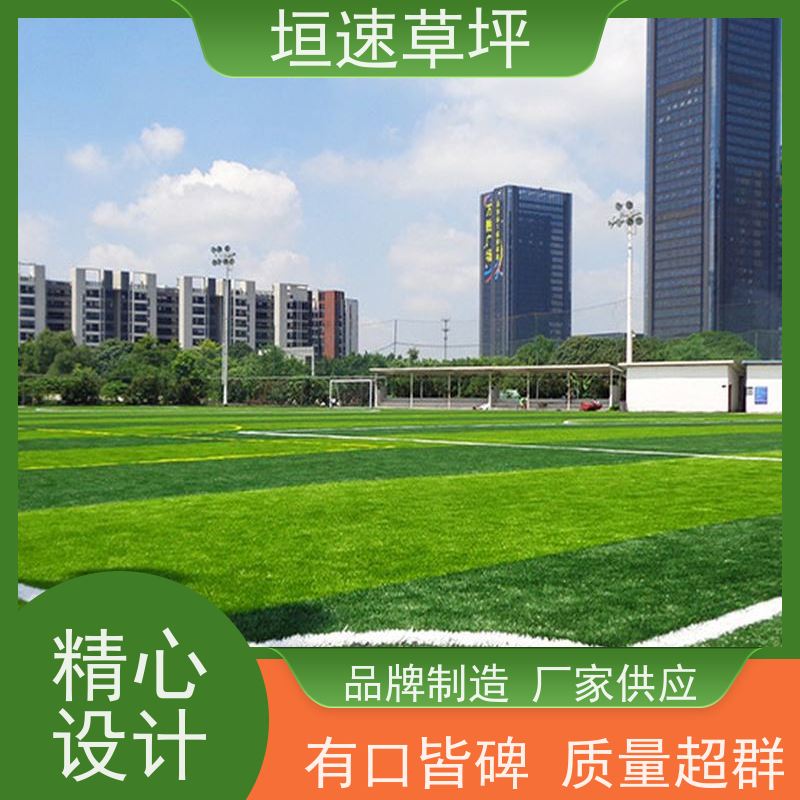 垣速 施工维修 人造草坪地垫 上海门球场制作 人造足球场草皮包工包料