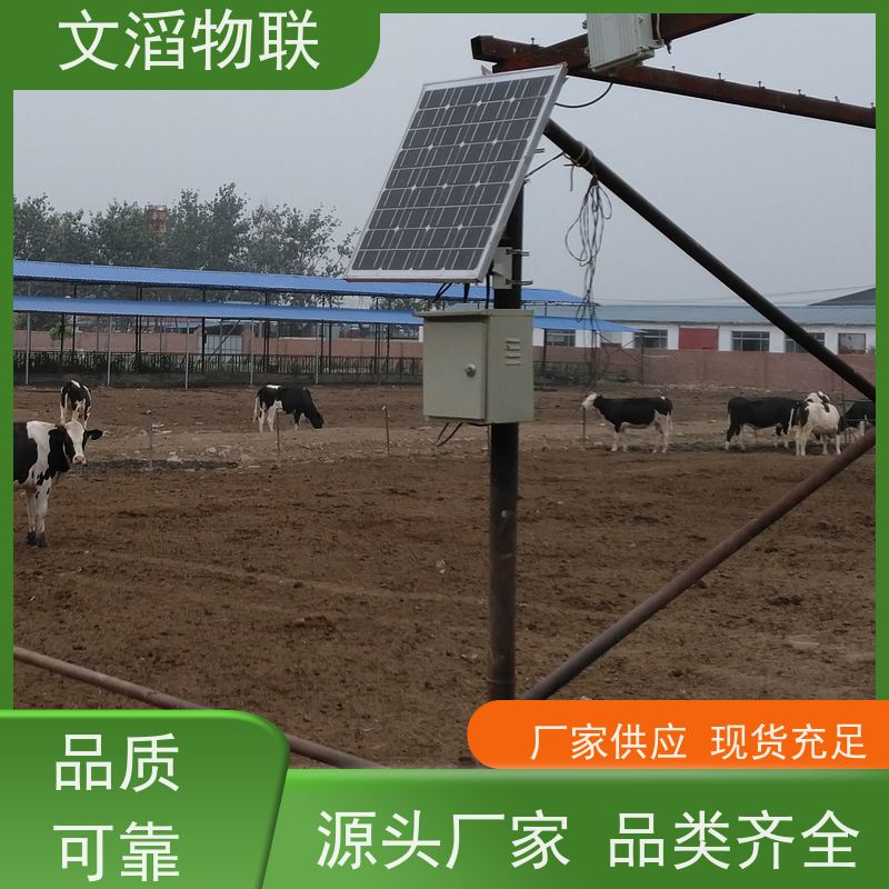 文滔物联 猪B超 监测奶牛采食量计步器 好品质有保障 