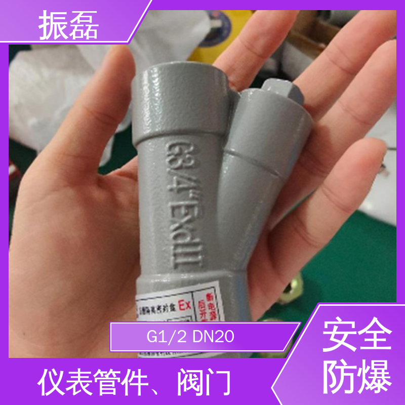 振磊 铝合金Y型Z型H型P型 BAG 防爆密封盒 ExdllC Gb/DIP55 A20