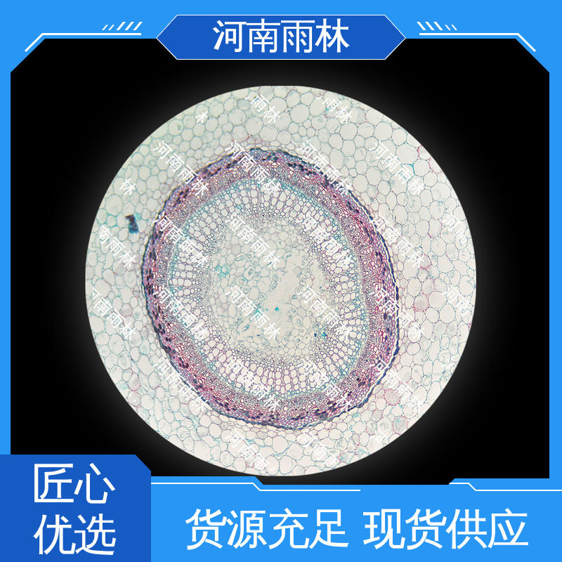 雨林教育工程 性价比高 实验切片 源头工厂 质量保障