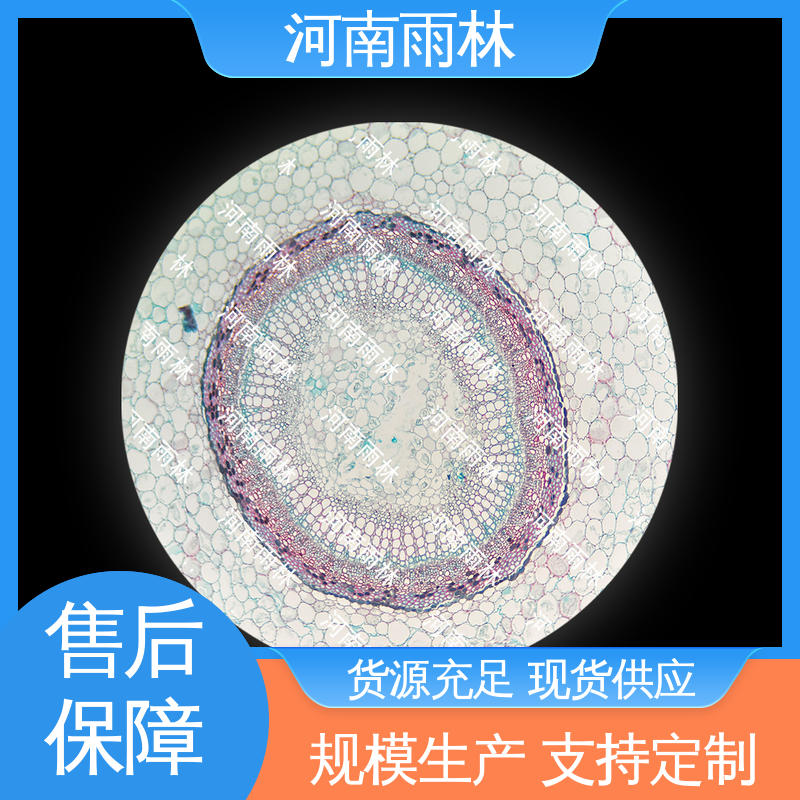 病害标本 源头工厂 品质优良 售后无忧 雨林教育工程