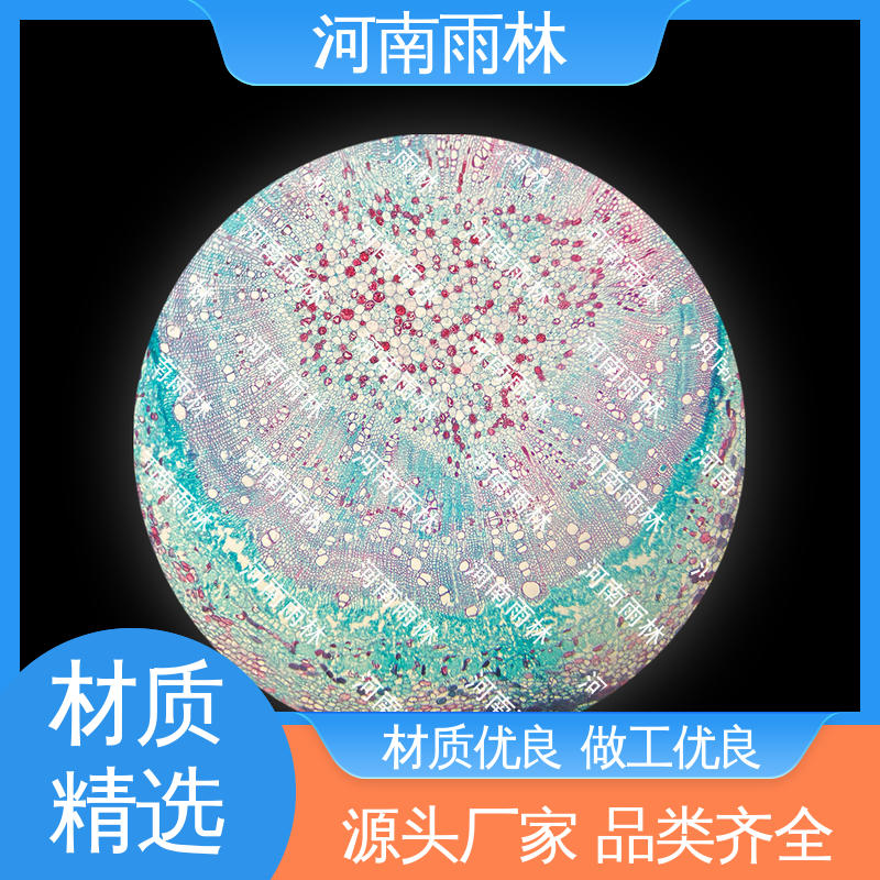 雨林教育 专业 生物切片 一对一质检 可后期加工