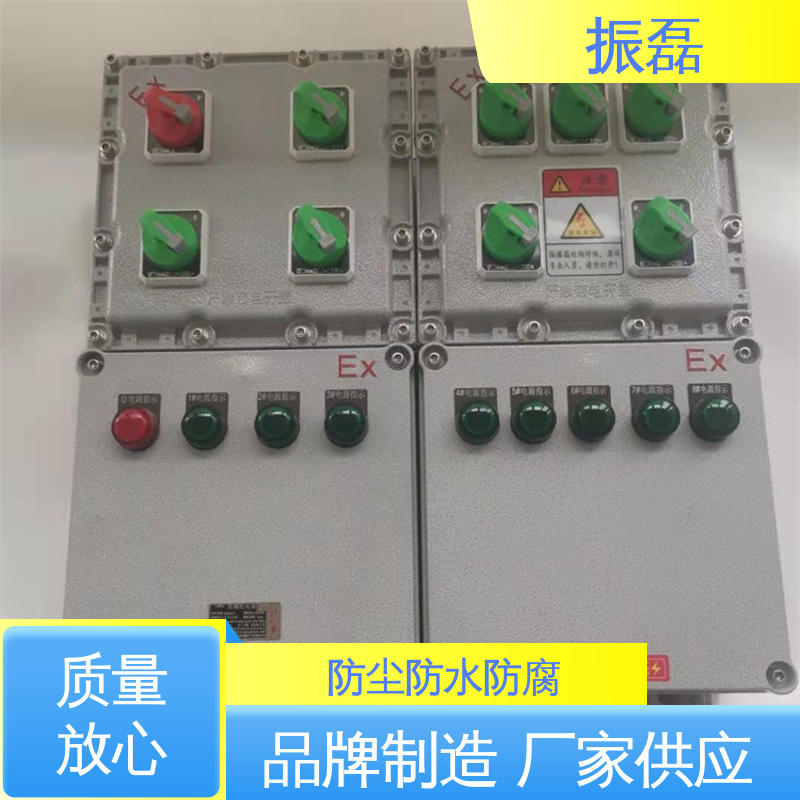 振磊 生产厂家 BXM8050防爆防腐照明动力配电箱 专用堵头 工地