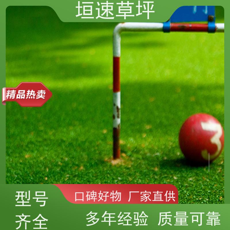 垣速 仿真草皮草坪 人工草皮球场地面处理 厂家定制 上海足球场改建