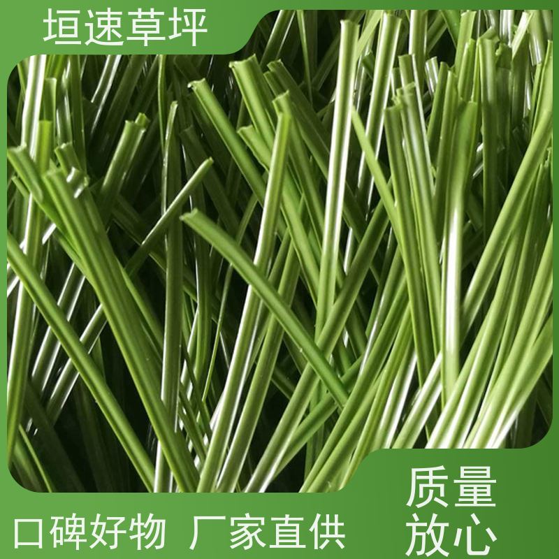 垣速 屋顶人造草坪 安装铺设 塑料草坪厂家施工工艺 上海门球场地改造