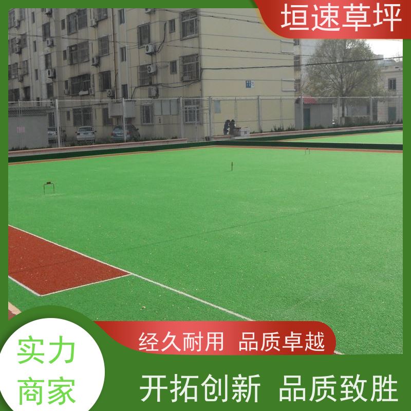 垣速 人造塑胶草坪 上海门球场地修建 施工建设 学校球场草坪上门施工