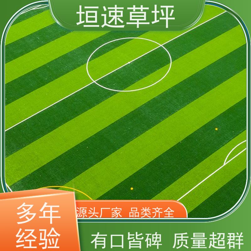垣速 人造草坪地垫 塑料草坪厂家施工工艺 上门铺设 上海足球场承建
