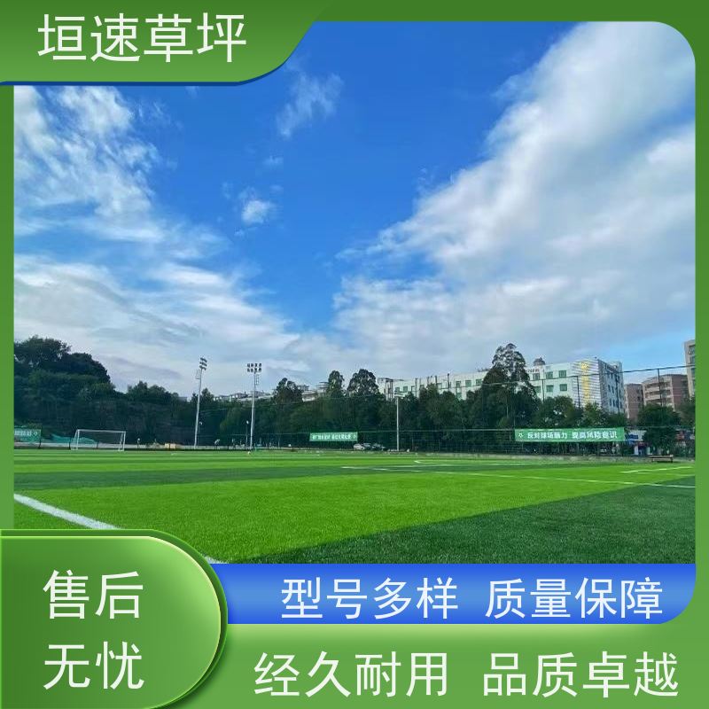 垣速 厂家定制 人造塑胶草坪 上海足球场承建 人造足球场草皮包工包料