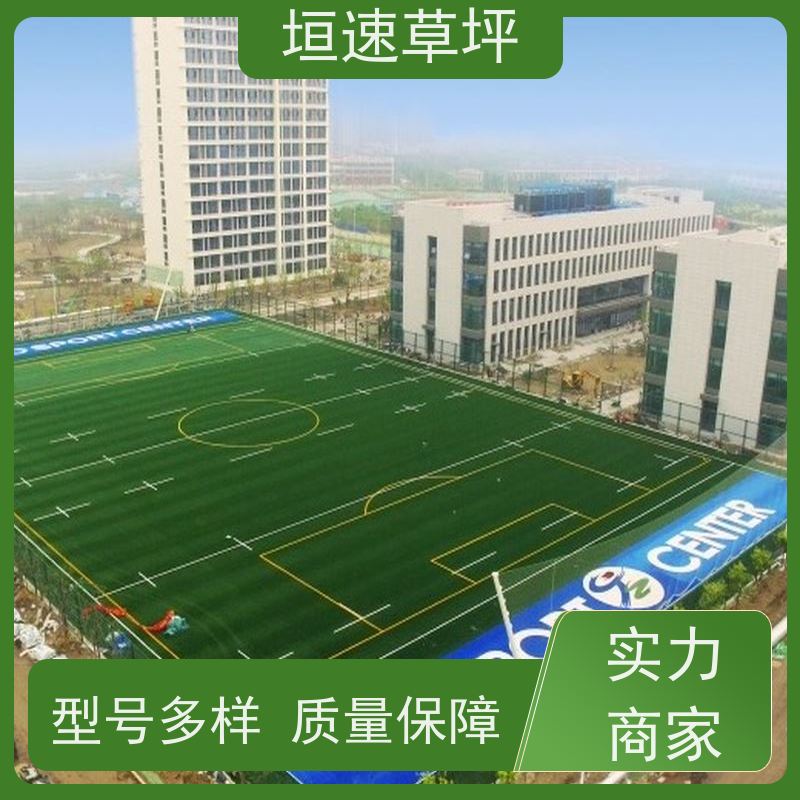 垣速 景观塑料草坪造价成本 苏州门球场修建 加密人造草坪 施工定制