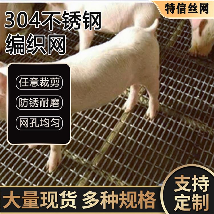 特信 一百目筛网 304不锈钢纱网 过滤器滤网厂家 定尺定做