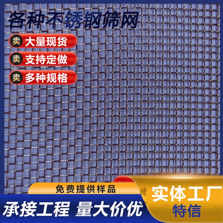 特信 防腐蚀 过滤网片 不锈钢防蚊网 锰钢筛网厂家直售