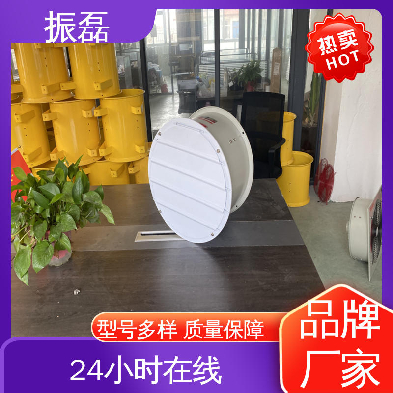 振磊 220V BSFT-250手提式轴流风机 工业厂房3c 空调通风排烟设备