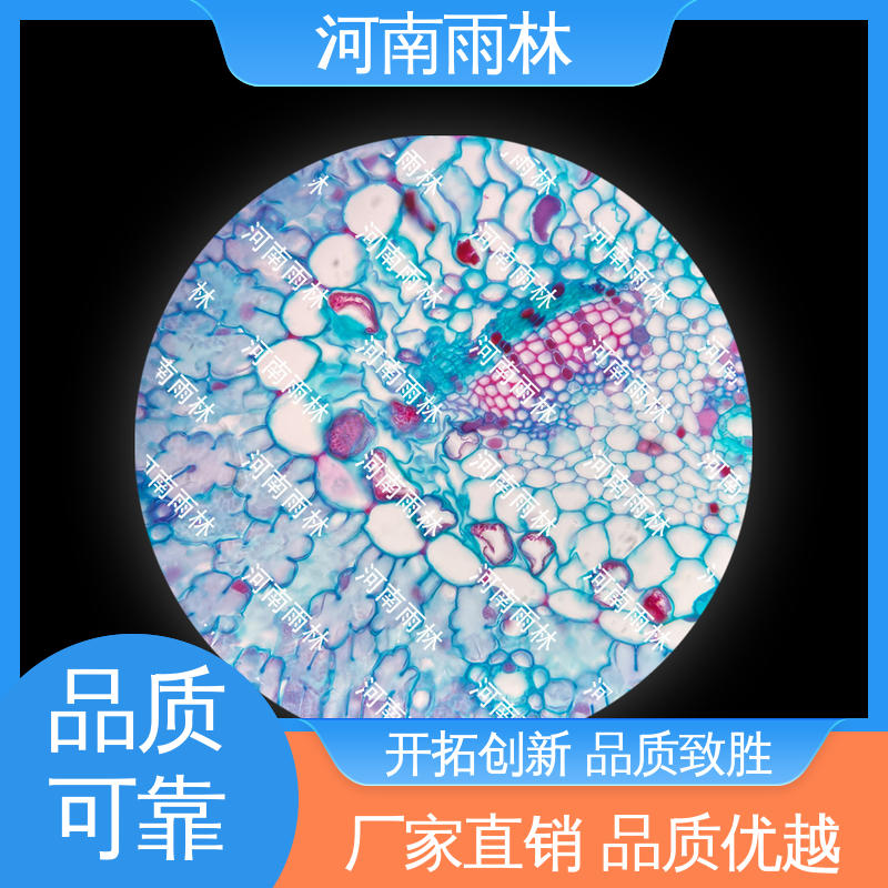 雨林教育工程 质量保障 可后期加工 生物切片 专业