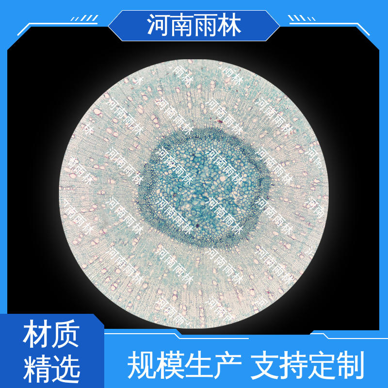 雨林教育工程 品质优良 质量优 个性化定做 各类标本