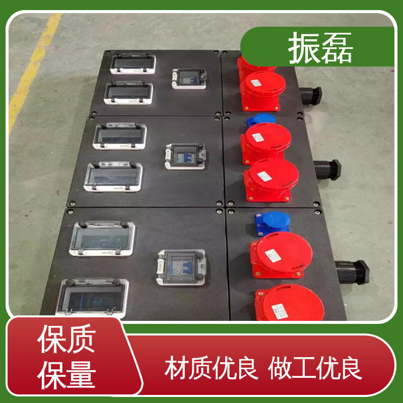 振磊 IP66 IIBT6级 bxm防爆照明动力配电箱 发货快 证书齐全 BXMD