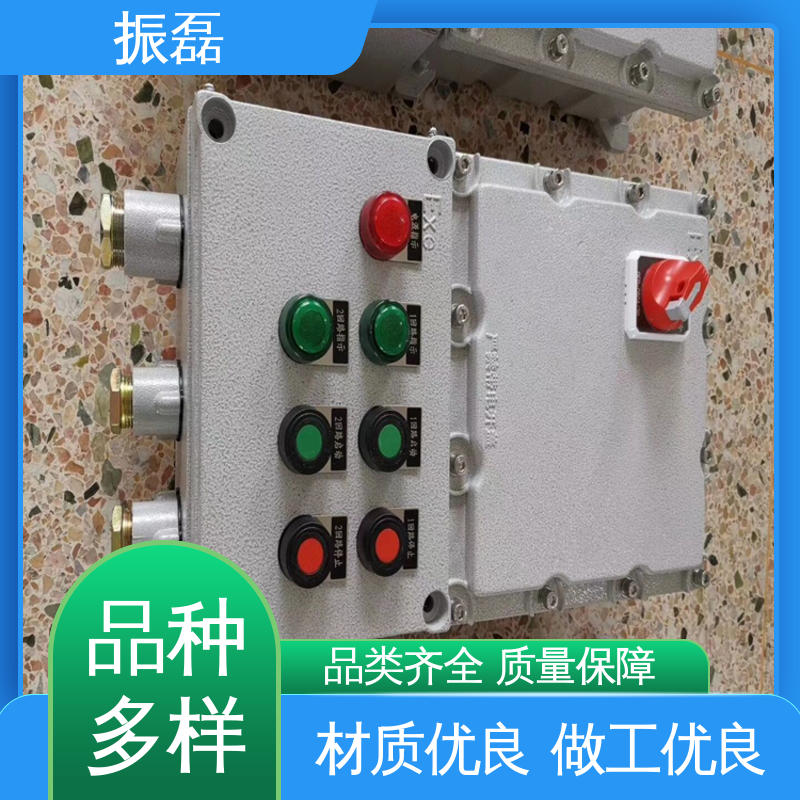 振磊 变频器控制柜非标定做 IP66 IIBT6级 bxm防爆照明动力配电箱