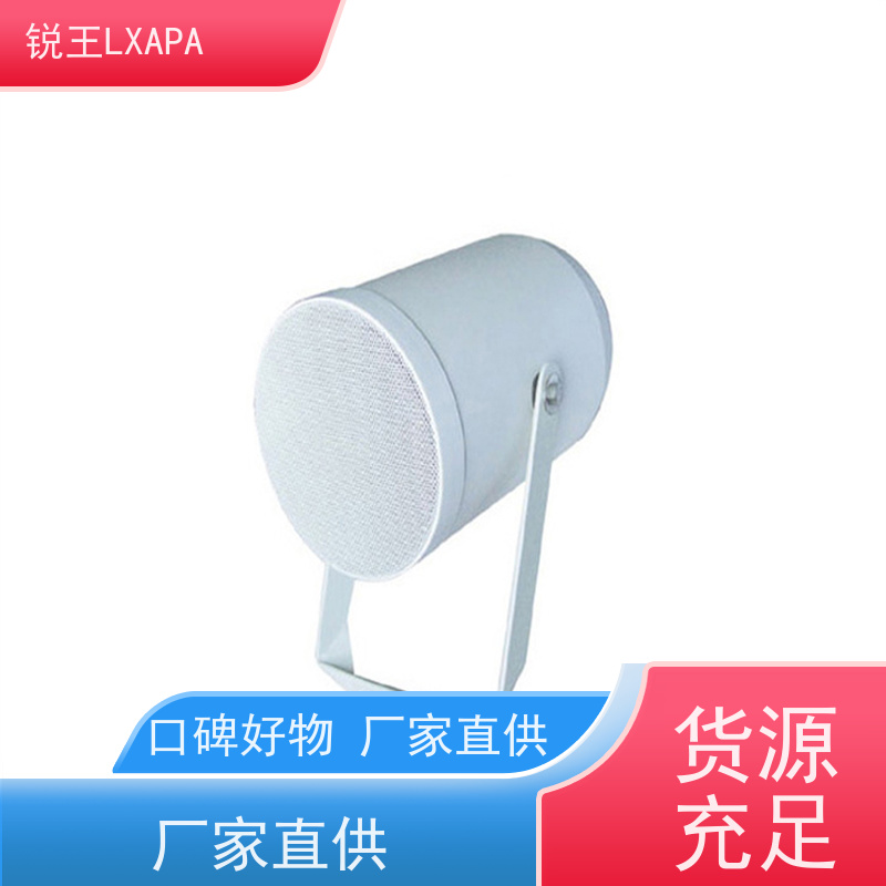 锐王LXAPA 同轴悬挂式音响 实力工厂 大功率喇叭