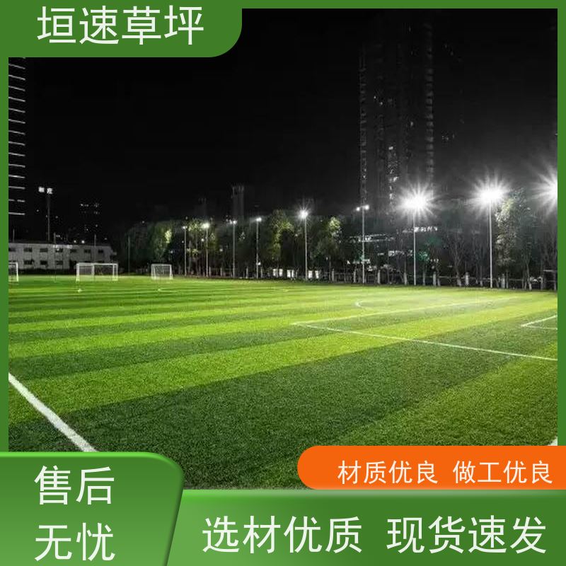 垣速 翻新改造 屋面绿化草坪基础施工 人造草坪地垫 上海门球场制作