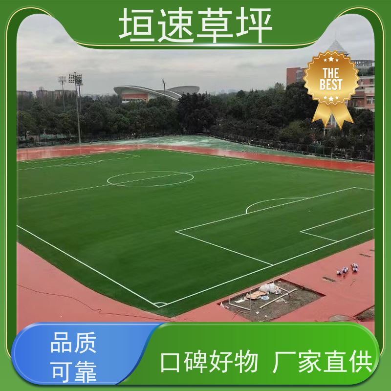垣速 屋面绿化草坪基础施工 制作公司 景观塑料草坪 上海门球场地修建