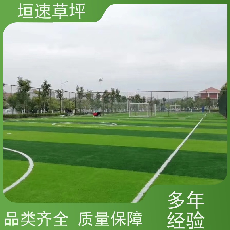 垣速 篮球场塑料草坪地面材质 改造维修 仿真草皮草坪 苏州足球场搭建