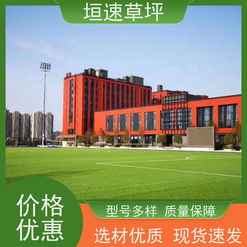 垣速 屋面绿化草坪基础施工 苏州门球场修建 人造塑胶草坪 安装铺设