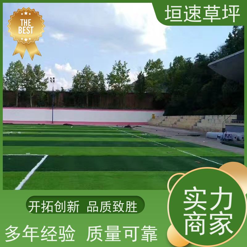 垣速 景观塑料草坪 翻新改造 学校球场草坪上门施工 苏州门球场修建